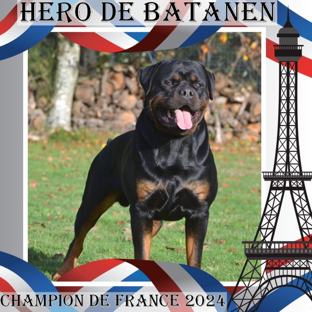 CH. Hero de batanen