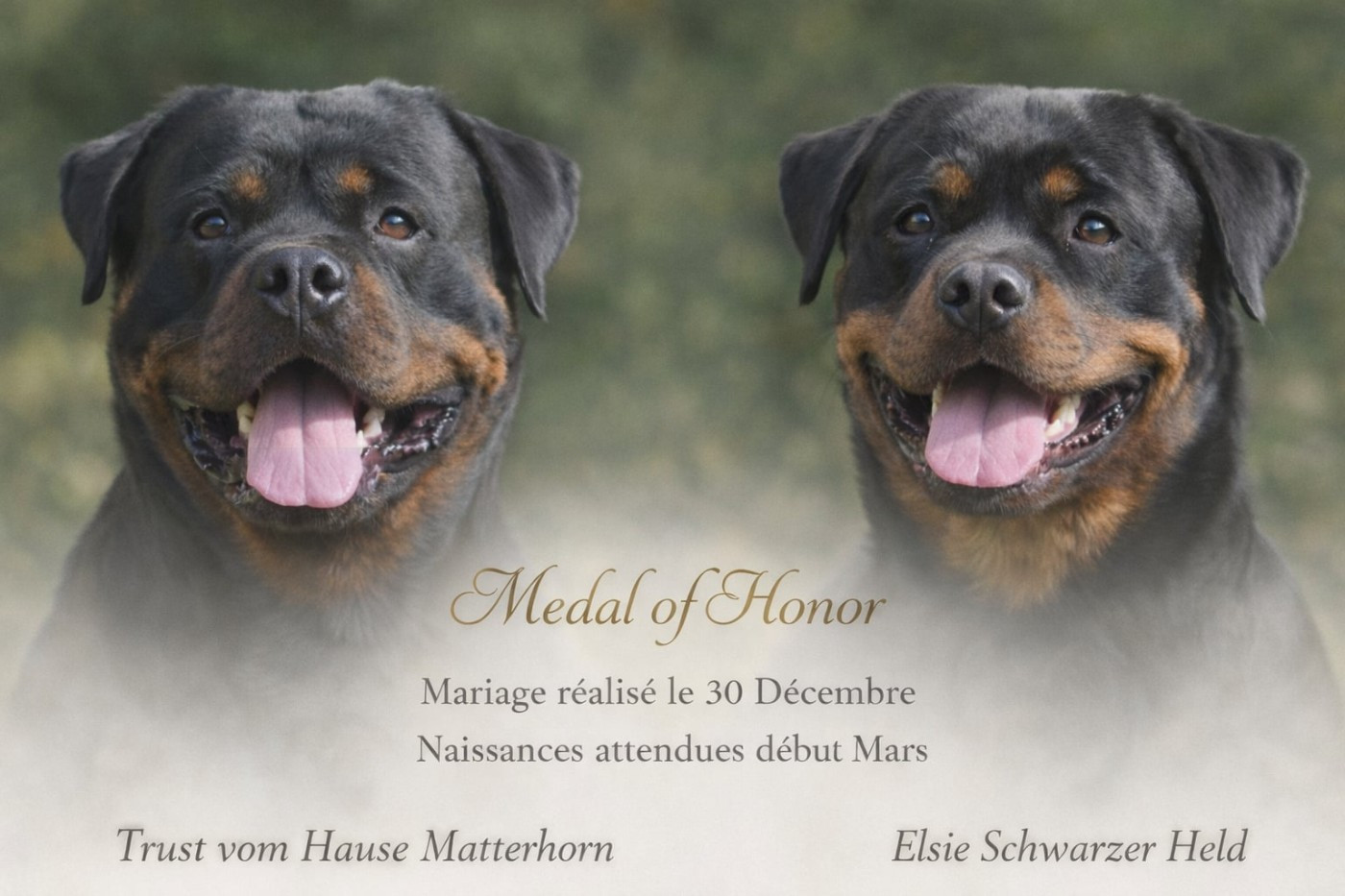 Naissances attendues fin Février!