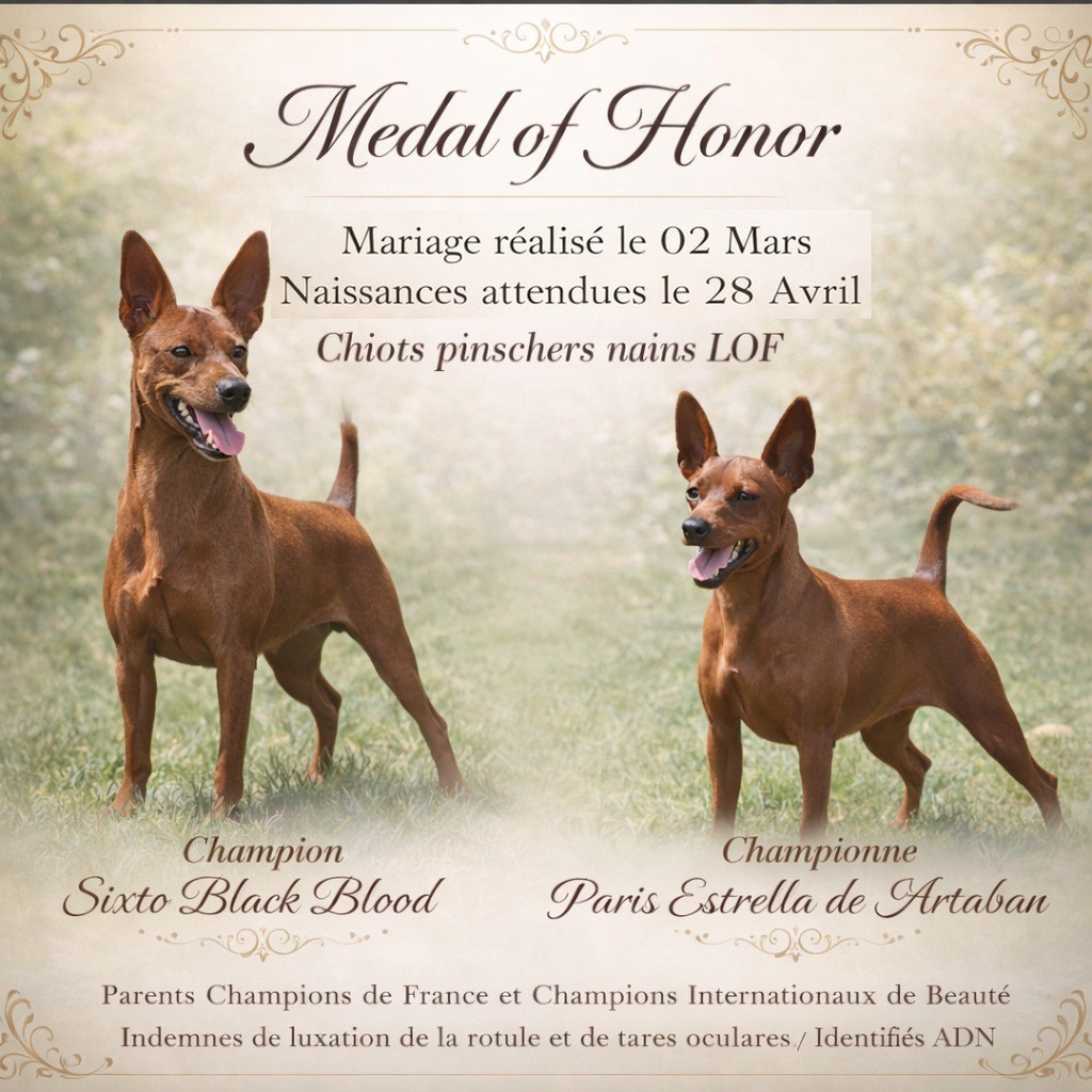 Naissances dans quelques jours !