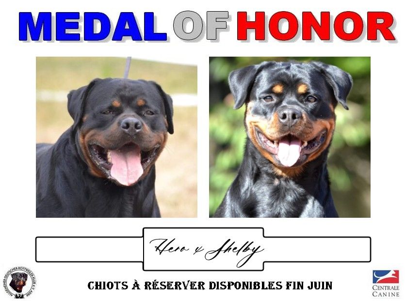 Medal of Honor - Prochaines naissances début Mai !