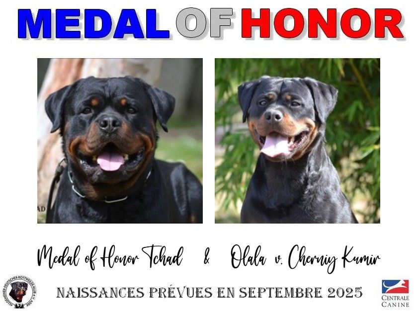 Naissances prévues en Septembre!